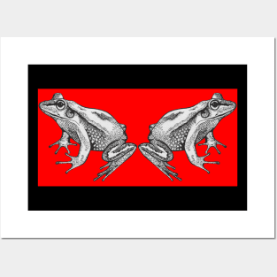 Two frogs on red square Posters and Art